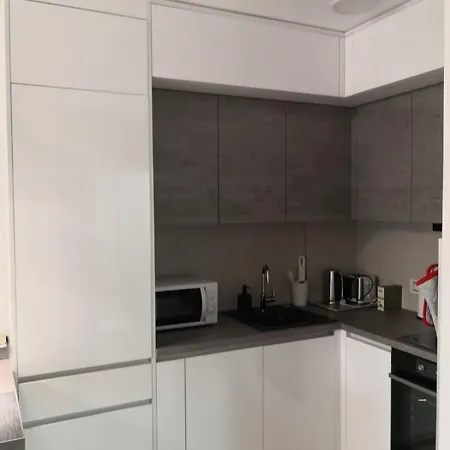 Nika Apartment Banja Koviljaca